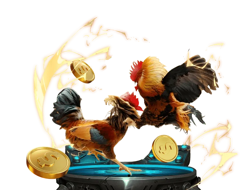 Tổng quan các chương trình khuyến mãi keo nha cai bong88